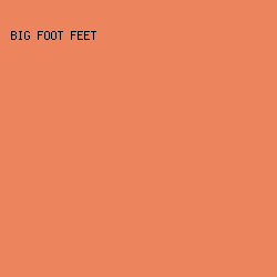 EC845E - Big Foot Feet color image preview