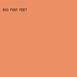 EC8F65 - Big Foot Feet color image preview