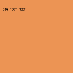 EC9454 - Big Foot Feet color image preview