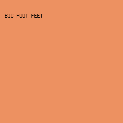 ED9161 - Big Foot Feet color image preview