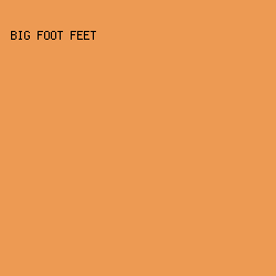 ED9A53 - Big Foot Feet color image preview