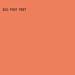 EE7F5D - Big Foot Feet color image preview