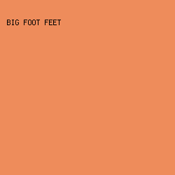 EE8C5B - Big Foot Feet color image preview