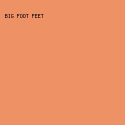 EE9165 - Big Foot Feet color image preview