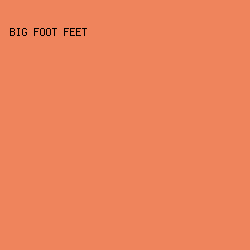 EF845C - Big Foot Feet color image preview