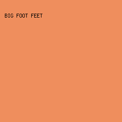 EF8E5D - Big Foot Feet color image preview