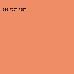 EF8E66 - Big Foot Feet color image preview