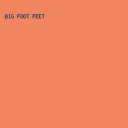 F0855F - Big Foot Feet color image preview