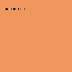 F0975D - Big Foot Feet color image preview