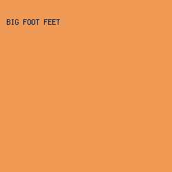 F09954 - Big Foot Feet color image preview