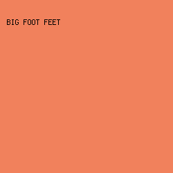 F1815C - Big Foot Feet color image preview