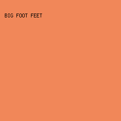 F18759 - Big Foot Feet color image preview