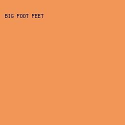 F29658 - Big Foot Feet color image preview