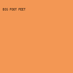 F39754 - Big Foot Feet color image preview