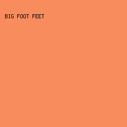 F88C5C - Big Foot Feet color image preview