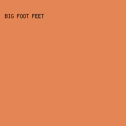 e38555 - Big Foot Feet color image preview