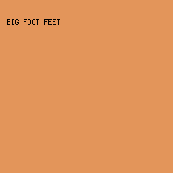 e3955a - Big Foot Feet color image preview