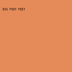 e58b5a - Big Foot Feet color image preview