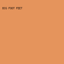 e5945c - Big Foot Feet color image preview