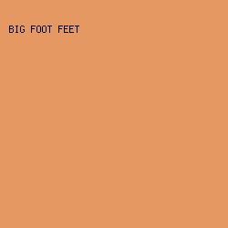 e59862 - Big Foot Feet color image preview