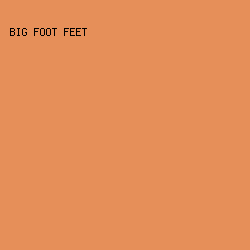 e68f59 - Big Foot Feet color image preview
