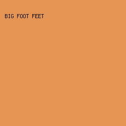 e69453 - Big Foot Feet color image preview