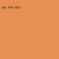 e79054 - Big Foot Feet color image preview