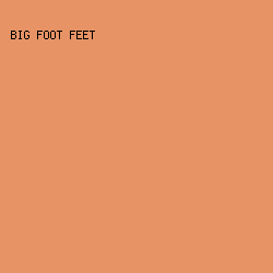 e79366 - Big Foot Feet color image preview