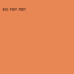 e88654 - Big Foot Feet color image preview