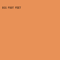 e89157 - Big Foot Feet color image preview