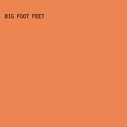 ec8552 - Big Foot Feet color image preview