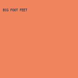 f0845d - Big Foot Feet color image preview