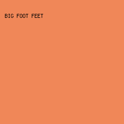 f08758 - Big Foot Feet color image preview