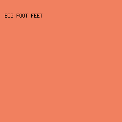 f1805f - Big Foot Feet color image preview
