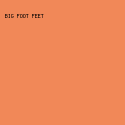 f18858 - Big Foot Feet color image preview