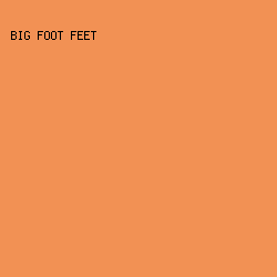 f29154 - Big Foot Feet color image preview