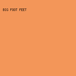 f39659 - Big Foot Feet color image preview
