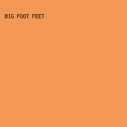 f39855 - Big Foot Feet color image preview