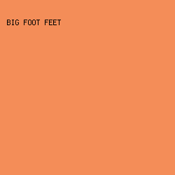 f48d58 - Big Foot Feet color image preview