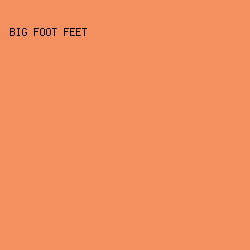 f48f5f - Big Foot Feet color image preview