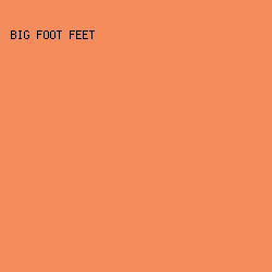 f58c5b - Big Foot Feet color image preview