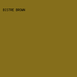 856E1B - Bistre Brown color image preview