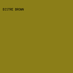 8B7E18 - Bistre Brown color image preview