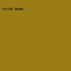 9A7D17 - Bistre Brown color image preview
