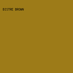 9D7B18 - Bistre Brown color image preview