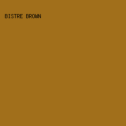 A16F1B - Bistre Brown color image preview