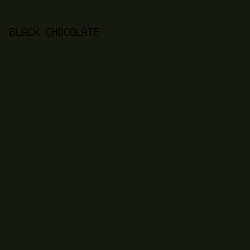 141a0e - Black Chocolate color image preview