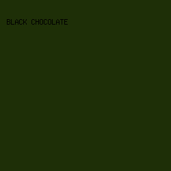 1E2F07 - Black Chocolate color image preview