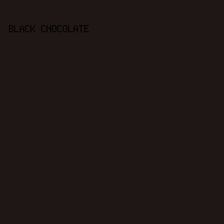 1F1616 - Black Chocolate color image preview