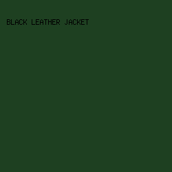 1e4021 - Black Leather Jacket color image preview